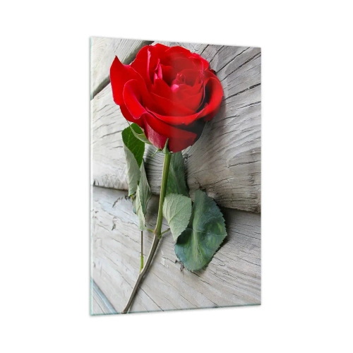 Cuadro sobre vidrio - Impresiones sobre Vidrio - Rosa roja sobre un fondo de madera - 80x120cm - Estudio en escarlata - Decoración de pared moderna para salón y dormitorio ARTTOR
