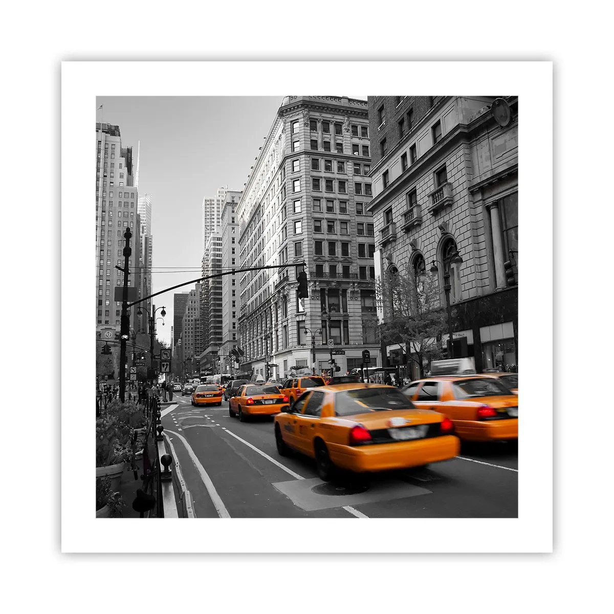 Póster - Los soles de la gran ciudad - 50x50 cm