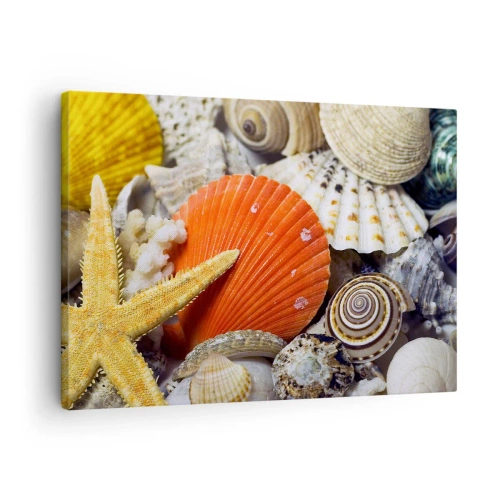 Cuadro sobre lienzo - Impresión de Imagen - Conchas y estrellas de mar en una composición marina - 70x50cm - Tesoros del océano - Decoración de pared moderna para salón y dormitorio ARTTOR