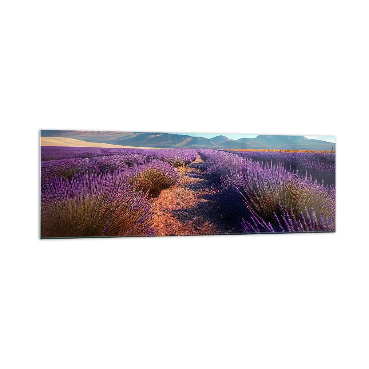 Cuadro sobre vidrio - Impresiones sobre Vidrio - Un campo de lavanda con vistas a las montañas y al cielo azul. - 160x50cm - Campos fragantes - Decoración de pared moderna para salón y dormitorio ARTTOR