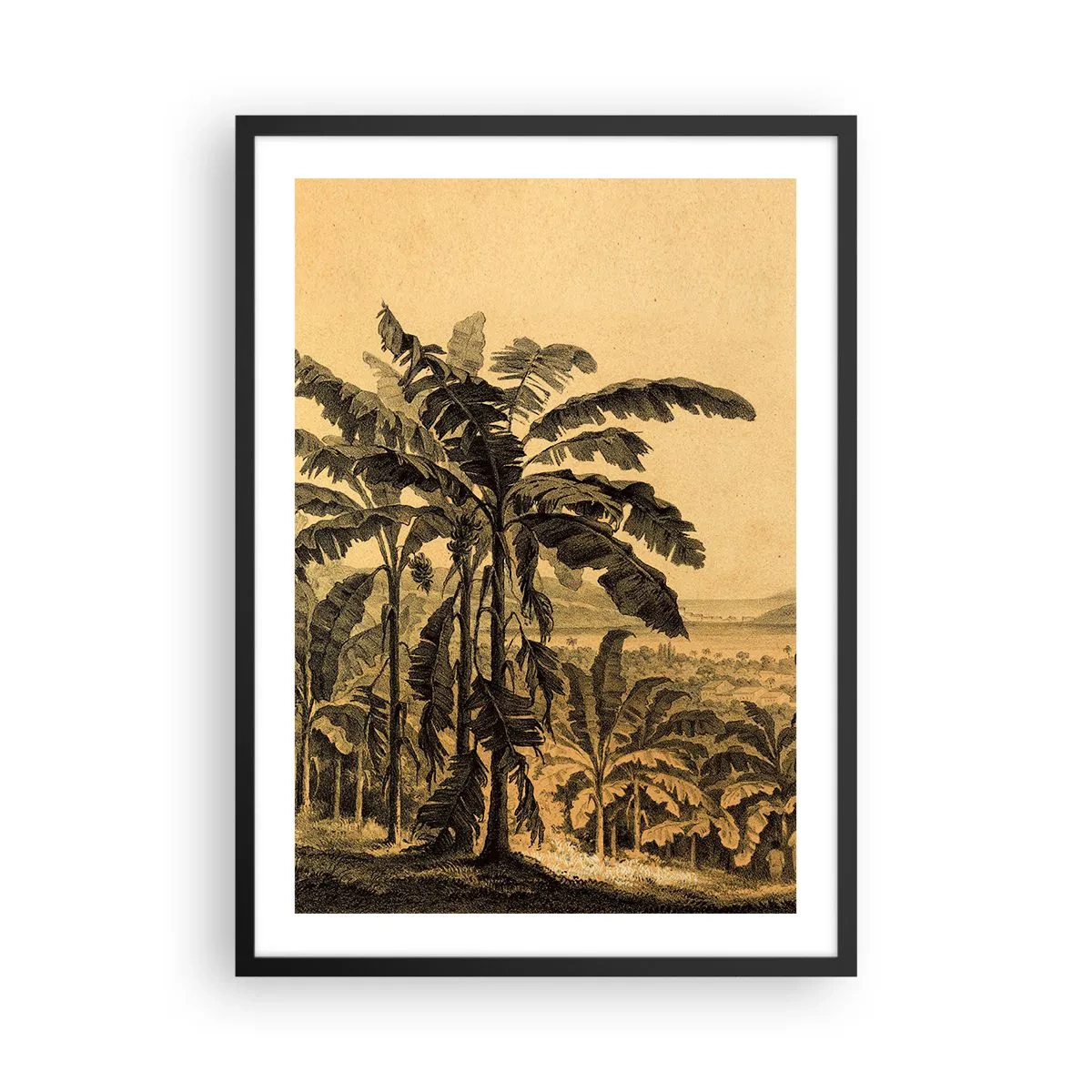 Póster en marco negro - Ilustración de palmeras sobre un fondo de paisaje tropical - 50x70cm - En un ambiente colonial - Decoración de pared moderna para salón y dormitorio ARTTOR