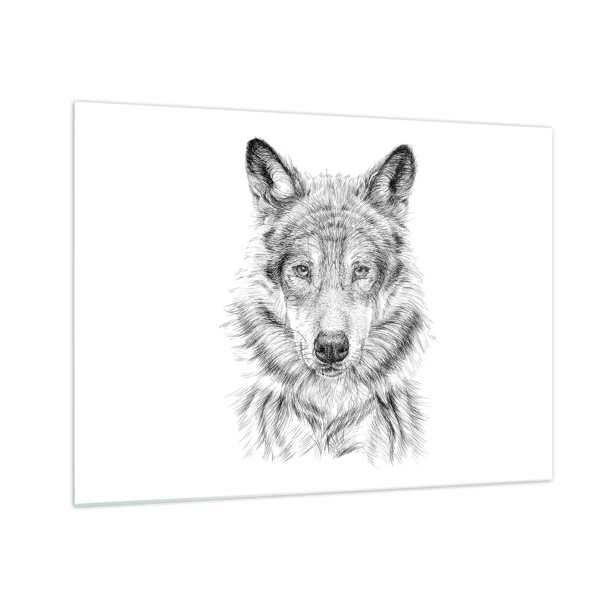 Cuadro sobre vidrio - Impresiones sobre Vidrio - Boceto en blanco y negro de la cabeza de un lobo sobre un fondo blanco. - 70x50cm - Un líder nato - Decoración de pared moderna para salón y dormitorio ARTTOR