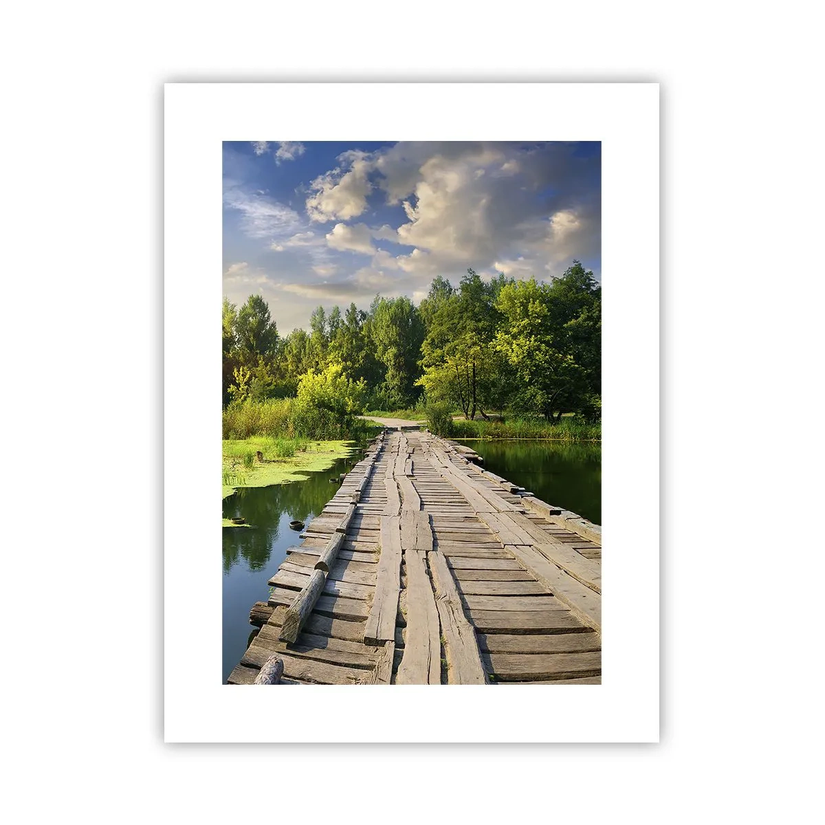 Póster - Verano, verano en todas partes - 30x40 cm