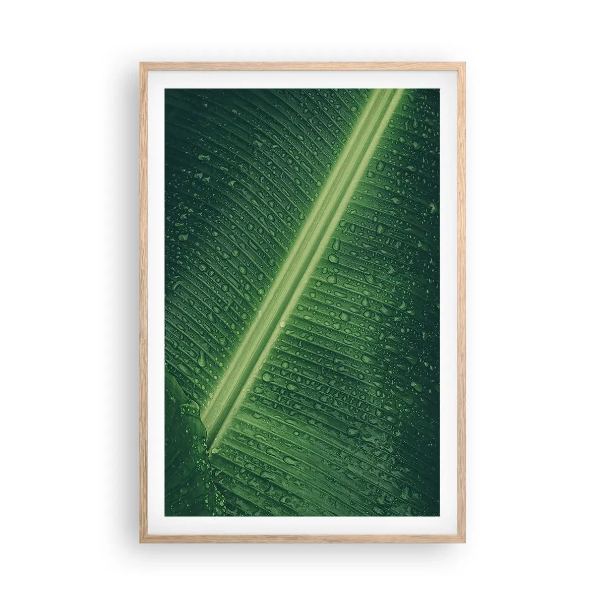Póster en marco roble claro - Estructura del verde - 61x91 cm