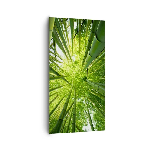 Cuadro sobre lienzo - Impresión de Imagen - En un bosquecillo de bambú - 65x120 cm