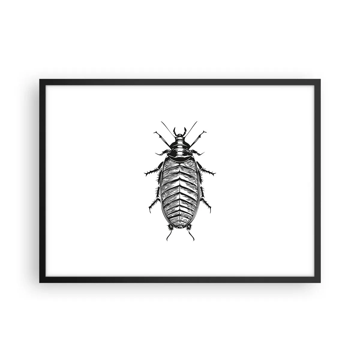 Póster en marco negro - Gráfico de un insecto en blanco y negro sobre un fondo blanco. - 70x50cm - ¡Qué espécimen! - Decoración de pared moderna para salón y dormitorio ARTTOR