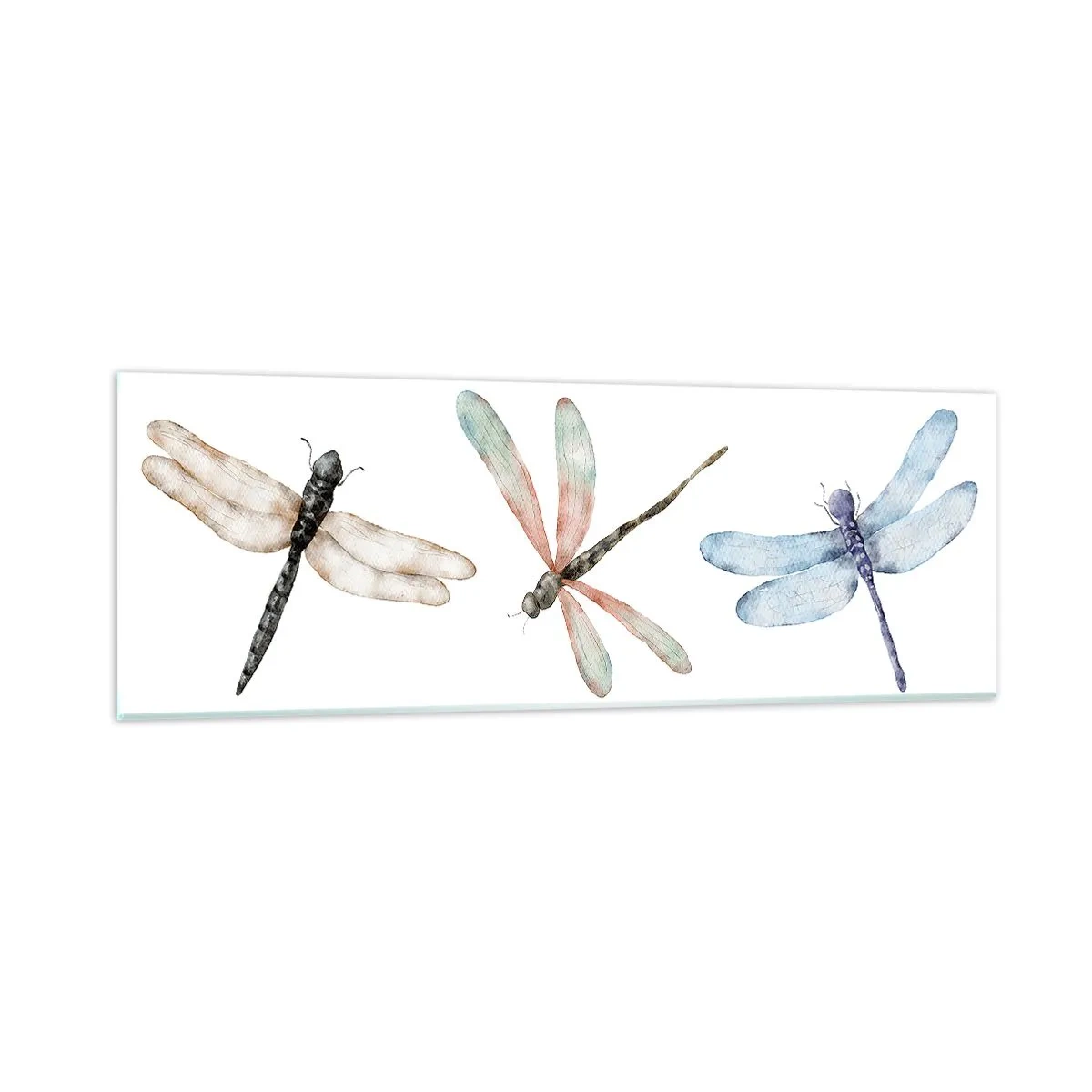 Cuadro sobre vidrio - Impresiones sobre Vidrio - Libélulas ingrávidas - 90x30 cm