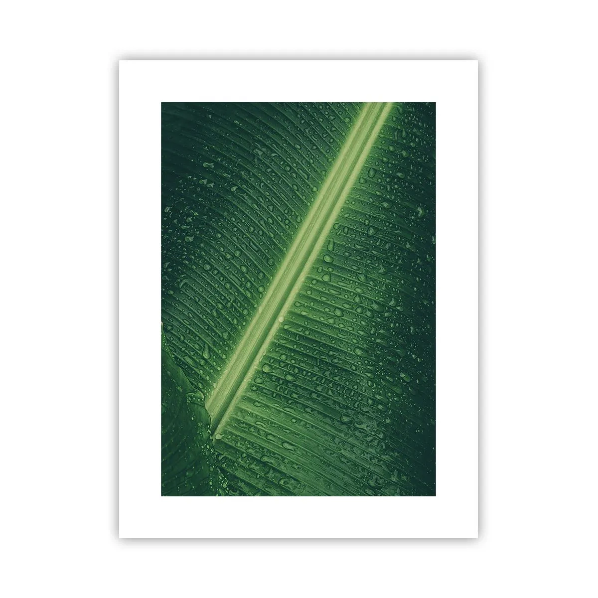 Póster - Estructura del verde - 30x40 cm