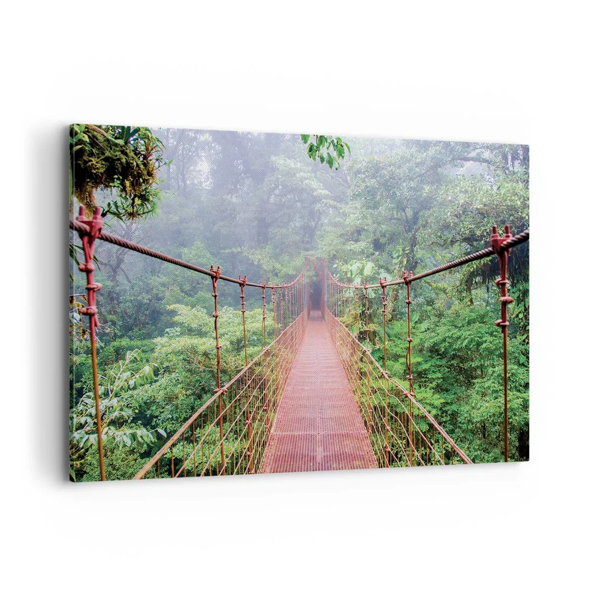 Cuadro sobre lienzo - Impresión de Imagen - Un puente colgante en una selva tropical rodeado de niebla. - 100x70cm - Suspendido sobre las copas - Decoración de pared moderna para salón y dormitorio ARTTOR
