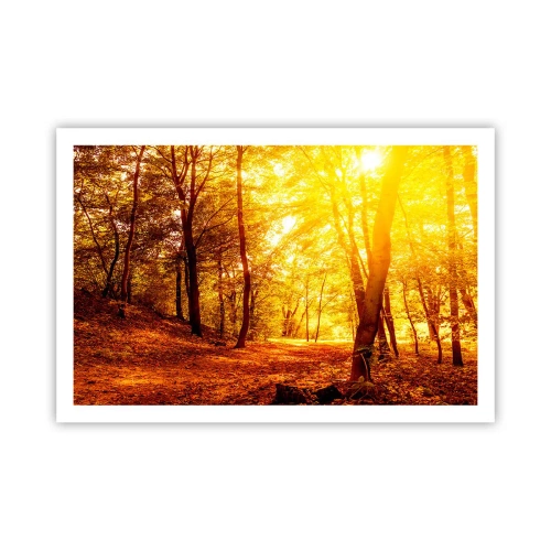 Póster - Hacia un claro de oro - 91x61 cm