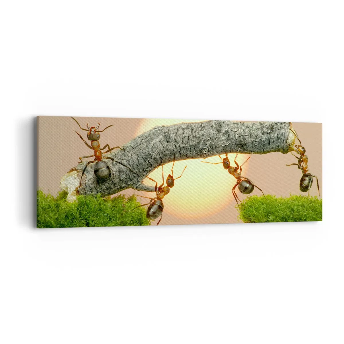 Cuadro sobre lienzo - Impresión de Imagen - Trabajar juntos con alegría - 90x30 cm