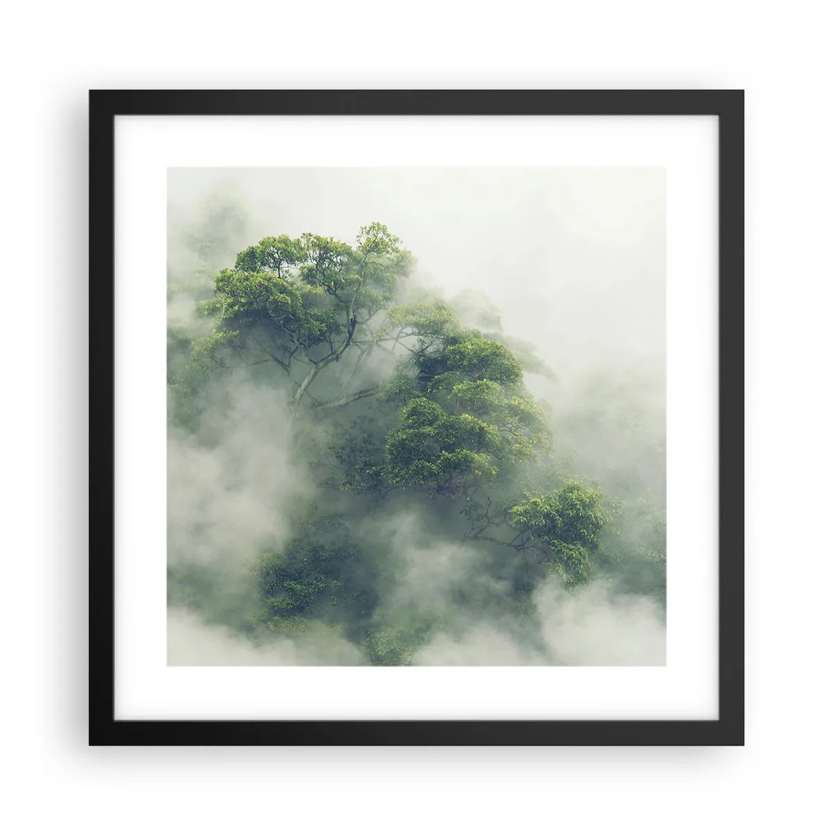 Póster en marco negro - Envuelto en niebla - 40x40 cm