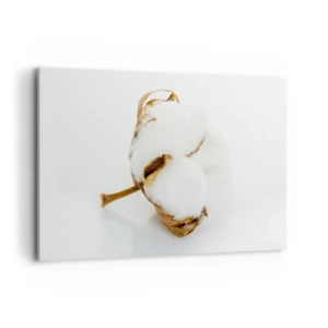 Cuadro sobre lienzo - Impresión de Imagen - Una rama de algodón sobre un fondo claro en un enfoque minimalista. - 120x80cm - Suave por naturaleza - Decoración de pared moderna para salón y dormitorio ARTTOR