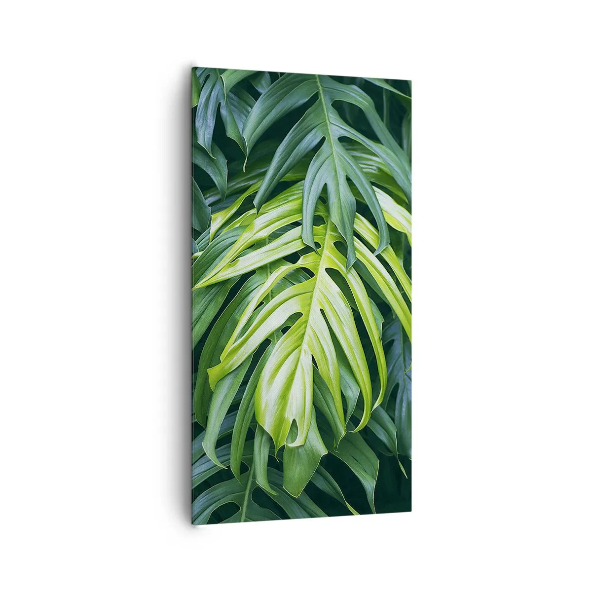 Cuadro sobre lienzo - Impresión de Imagen - Sumérjase en la frescura - 65x120 cm