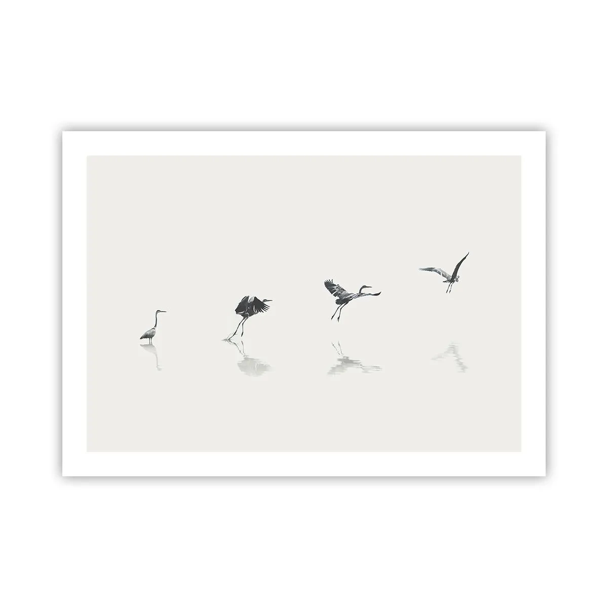 Póster - Cuatro sencillos pasos para despegar - 70x50 cm