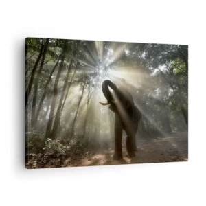 Cuadro sobre lienzo - Impresión de Imagen - Un elefante en el bosque rodeado de rayos de luz en la niebla de la mañana. - 70x50cm - Bajo una estrella de la suerte - Decoración de pared moderna para salón y dormitorio ARTTOR