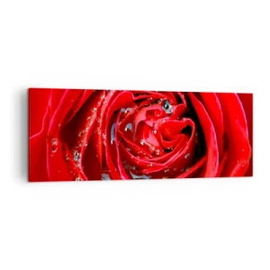 Cuadro sobre lienzo - Impresión de Imagen - Primer plano de una rosa roja con gotas de agua en los pétalos. - 140x50cm - En gotas de rocío - Decoración de pared moderna para salón y dormitorio ARTTOR