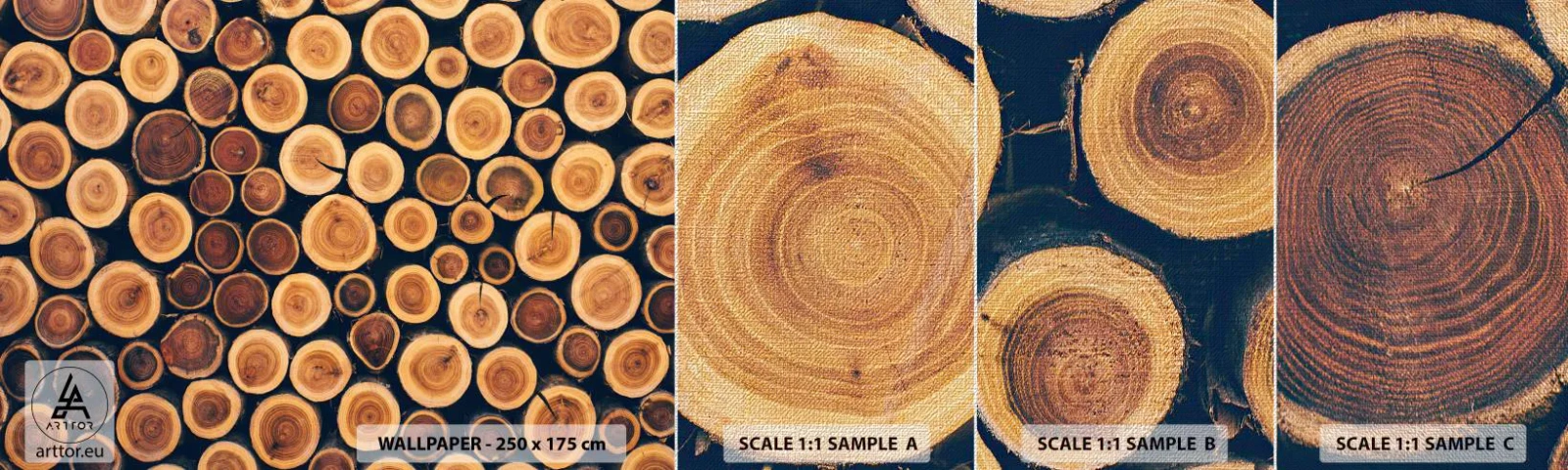 Muestra de fotomural Premium Canvas - ¿Qué edad tengo? - Tronco de arbol, Bosque, Pedazo - 100x30 cm
