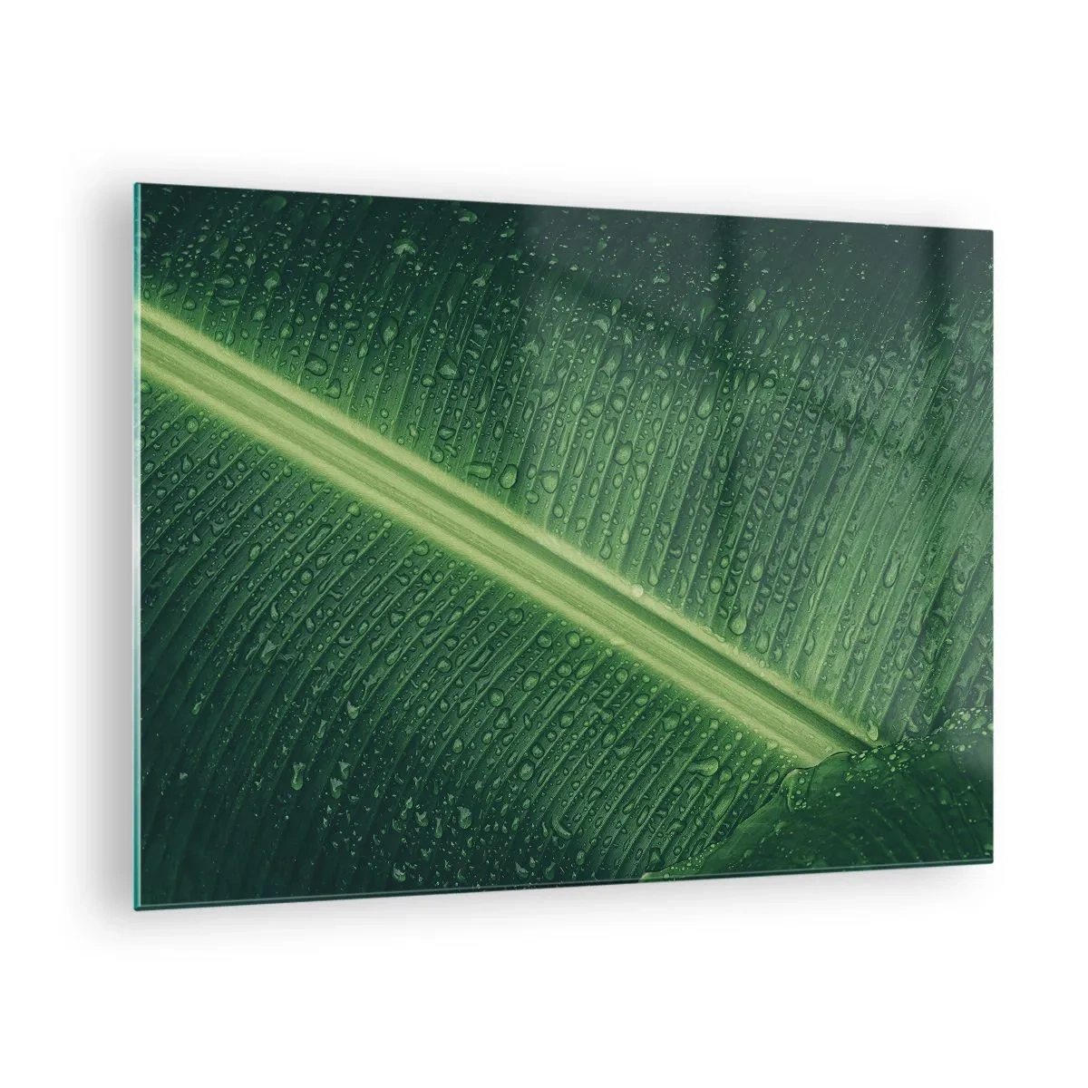 Cuadro sobre vidrio - Impresiones sobre Vidrio - Primer plano de una hoja verde con gotas de agua. - 70x50cm - Estructura del verde - Decoración de pared moderna para salón y dormitorio ARTTOR
