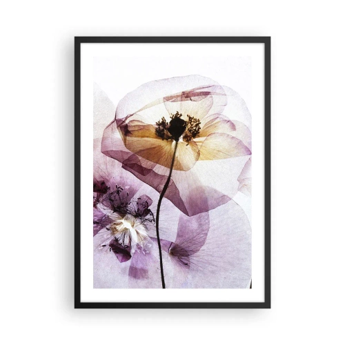 Póster en marco negro - Flores transparentes en tonos pastel - 50x70cm - Cuerpo de flor - Decoración de pared moderna para salón y dormitorio ARTTOR