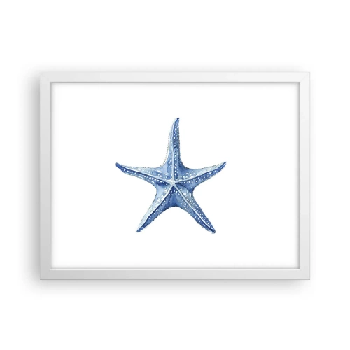 Póster en marco blanco - Estrella de mar - 40x30 cm