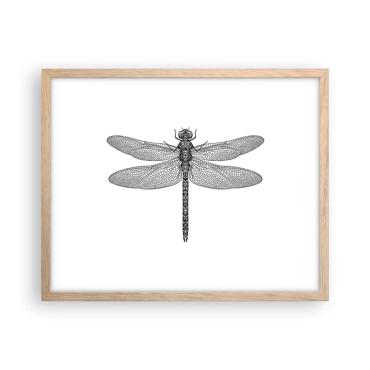 Póster en marco roble claro - Precisión de la naturaleza - 50x40 cm