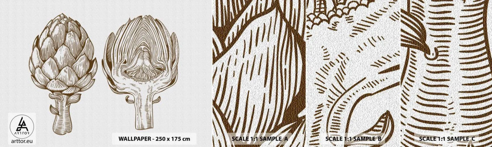 Muestra de fotomural autoadhesivo Deluxe Sticker - Lección de anatomía - Alcachofa, Cocina, Verduras - 100x30 cm