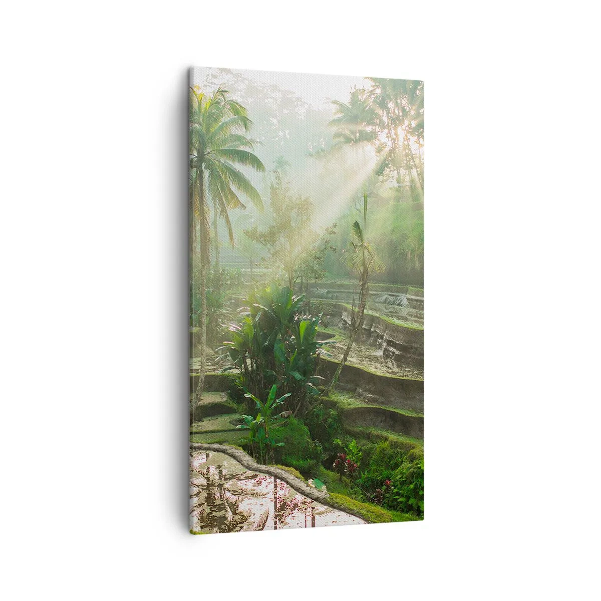 Cuadro sobre lienzo - Impresión de Imagen - Crecer bajo el sol - 45x80 cm