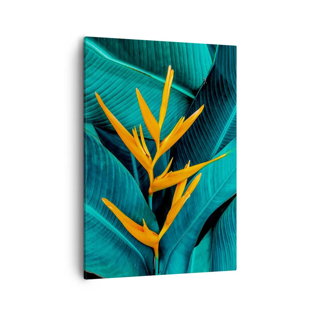 Cuadro sobre lienzo - Impresión de Imagen - Una flor exótica sobre un fondo de hojas de plátano en tonos turquesas. - 50x70cm - Flor del Edén - Decoración de pared moderna para salón y dormitorio ARTTOR