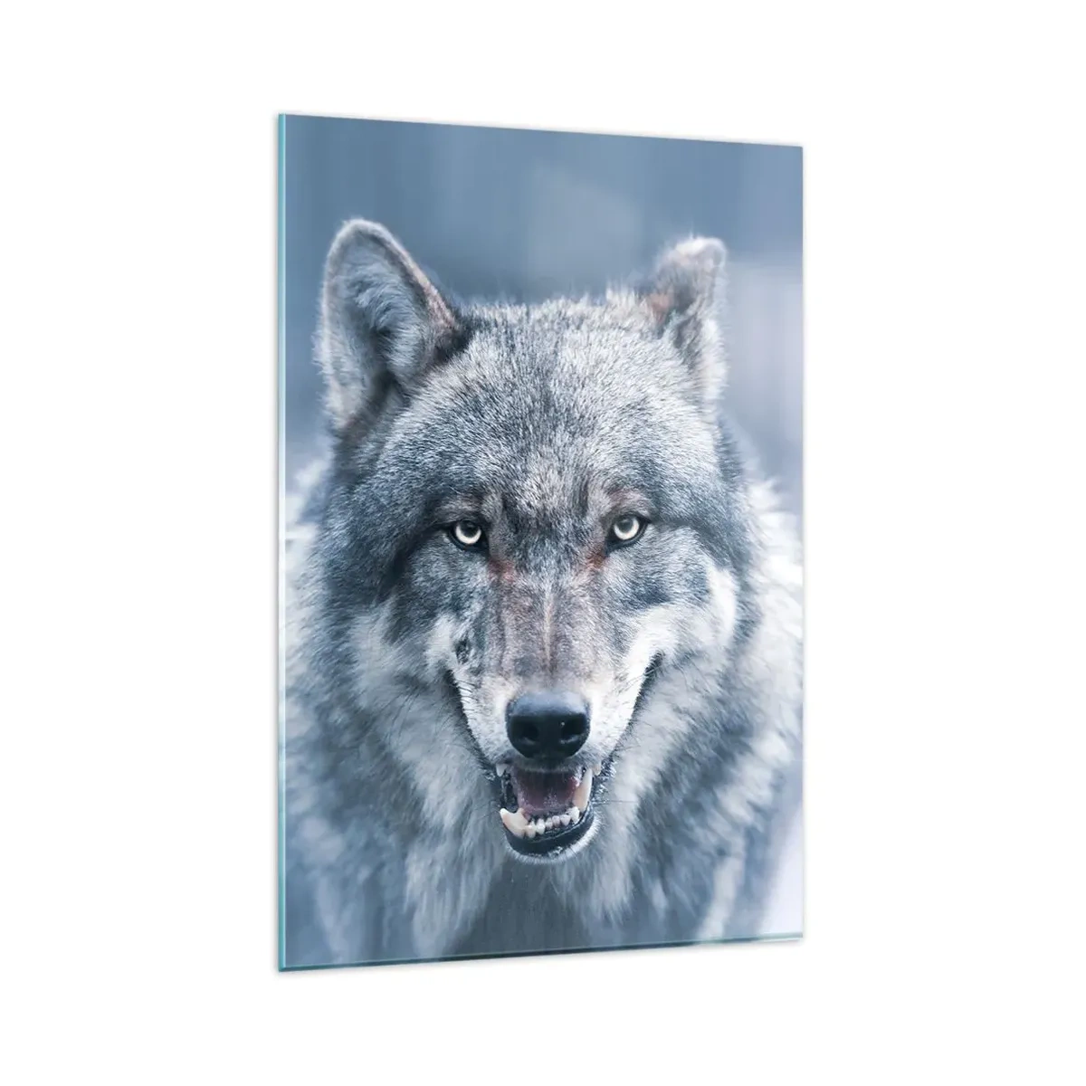 Cuadro sobre vidrio - Impresiones sobre Vidrio - Un lobo con una mirada intensa en un paisaje invernal. - 80x120cm - ¿Aceptarás el reto? - Decoración de pared moderna para salón y dormitorio ARTTOR