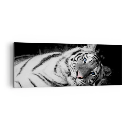 Cuadro sobre lienzo - Impresión de Imagen - Un tigre blanco representado artísticamente sobre un fondo negro. - 140x50cm - Salvaje y tranquilo - Decoración de pared moderna para salón y dormitorio ARTTOR