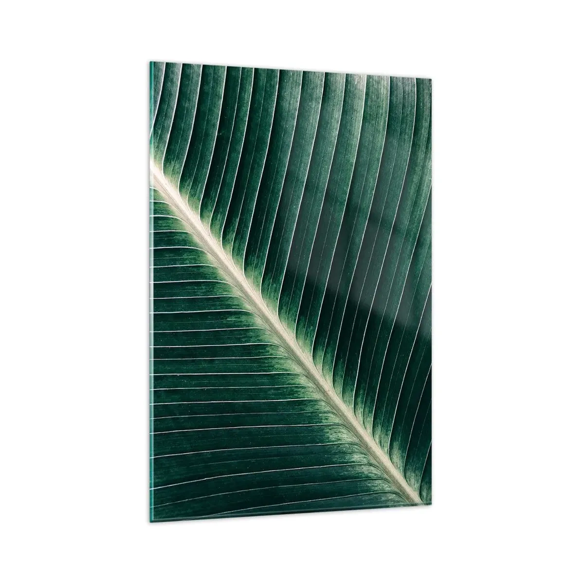 Cuadro sobre vidrio - Impresiones sobre Vidrio - Primer plano de la estructura de una hoja verde. - 80x120cm - El ritmo de la naturaleza - Decoración de pared moderna para salón y dormitorio ARTTOR