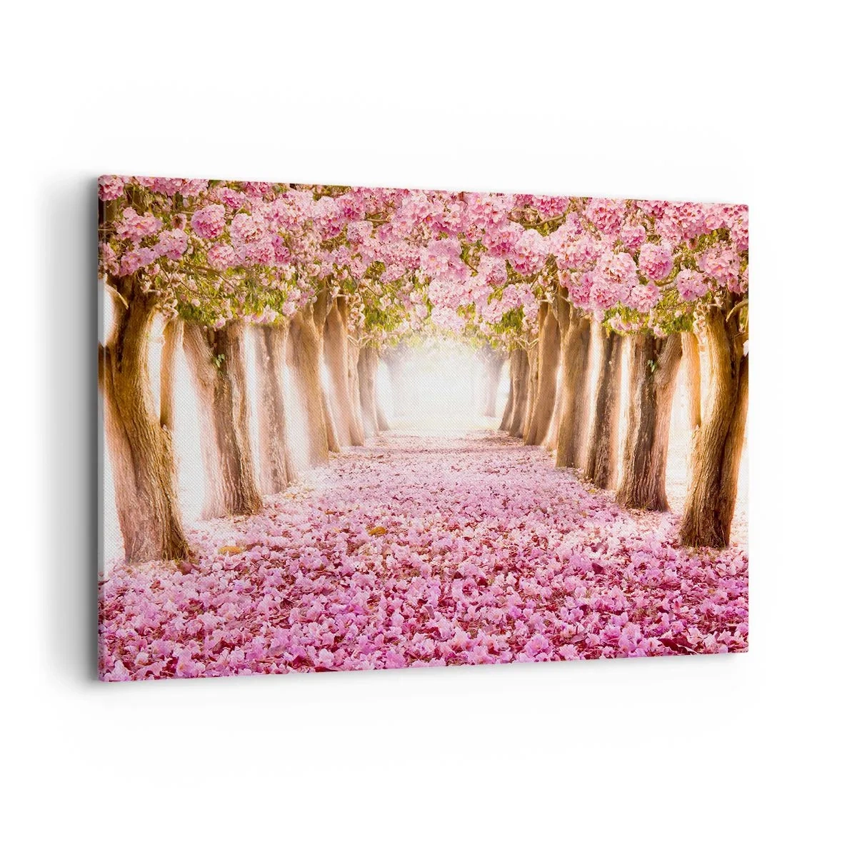 Cuadro sobre lienzo - Impresión de Imagen - Una avenida de árboles en flor en tonos rosa. - 120x80cm - El camino al paraíso - Decoración de pared moderna para salón y dormitorio ARTTOR