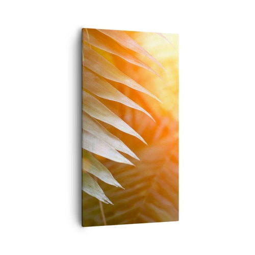 Cuadro sobre lienzo - Impresión de Imagen - Mañana en la selva - 55x100 cm