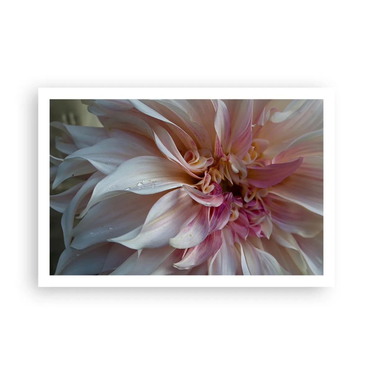 Póster - Frescura floreciente - 91x61 cm