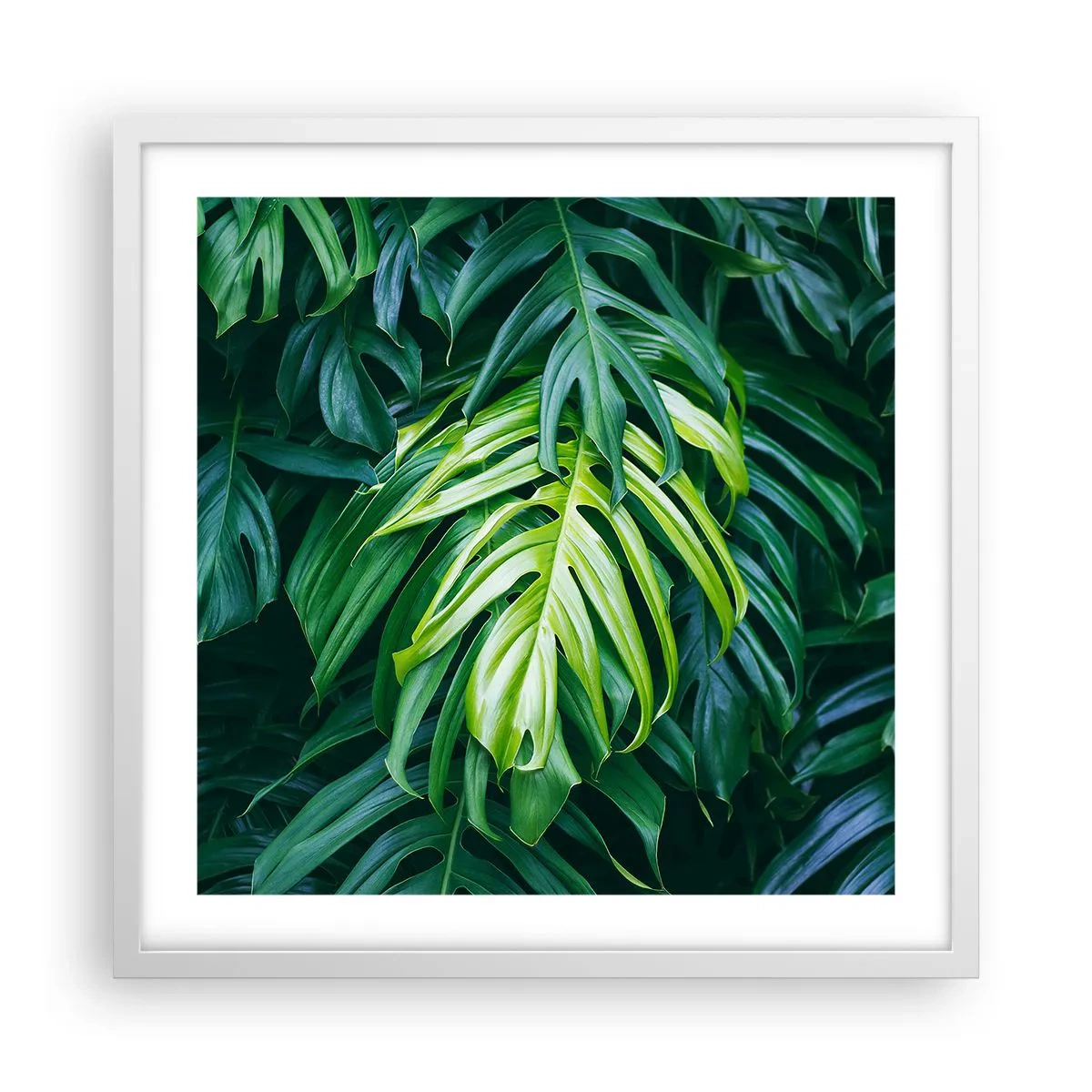 Póster en marco blanco - Sumérjase en la frescura - 50x50 cm