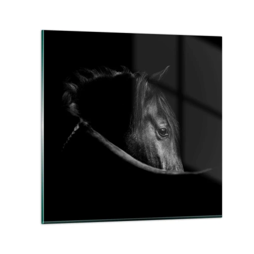 Cuadro sobre vidrio - Impresiones sobre Vidrio - Príncipe negro - 30x30 cm