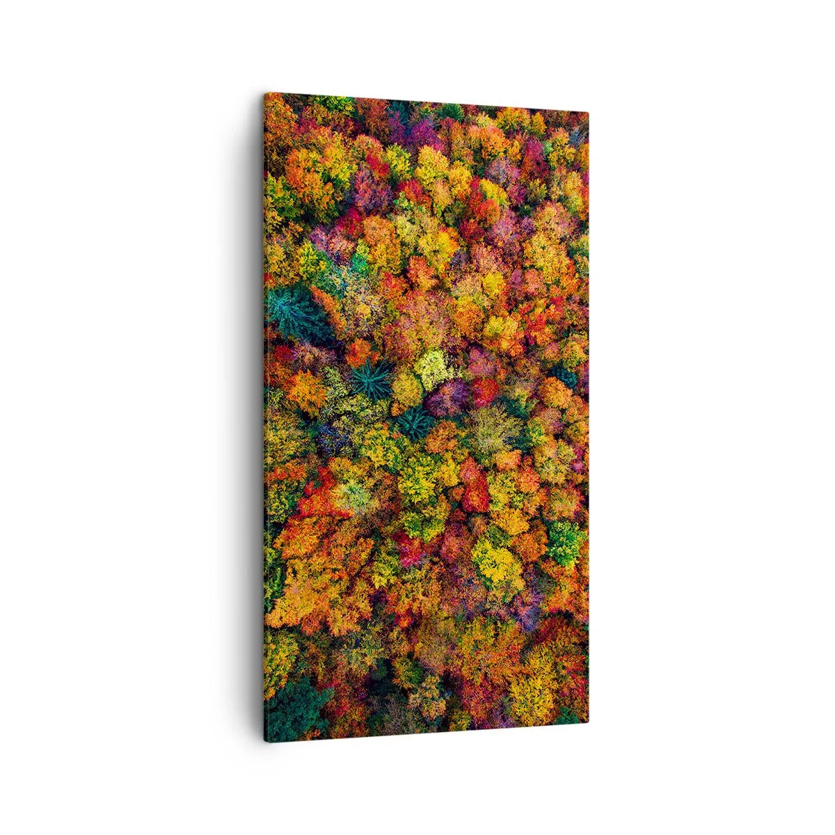 Cuadro sobre lienzo - Impresión de Imagen - Un ramo de árboles otoñales - 45x80 cm