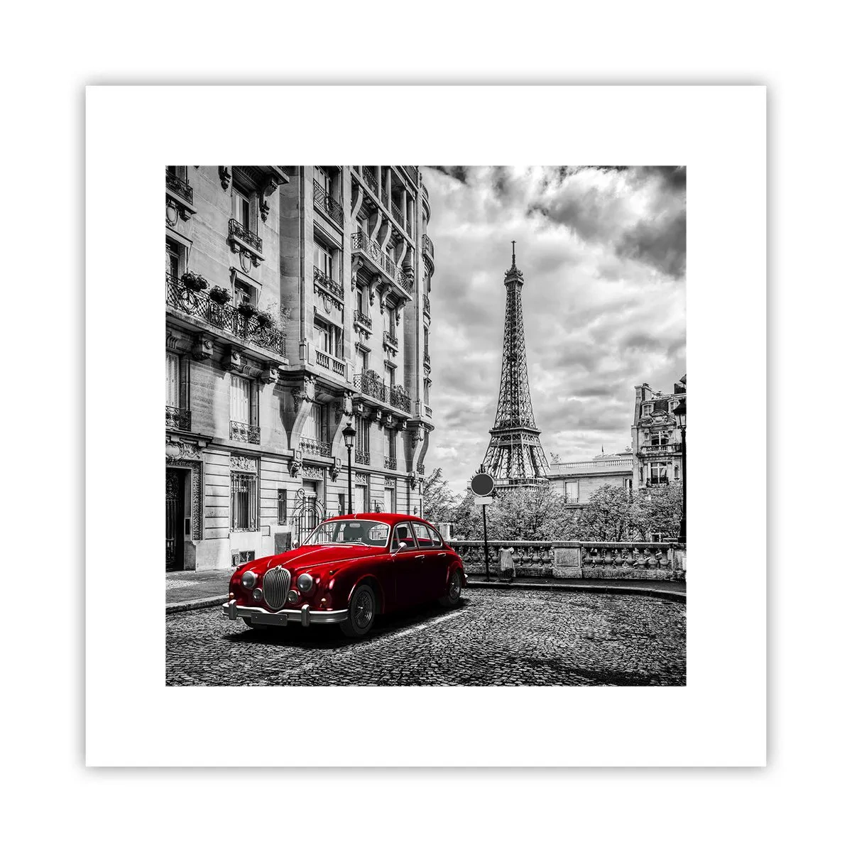 Póster - Un depredador en la ciudad - 30x30 cm