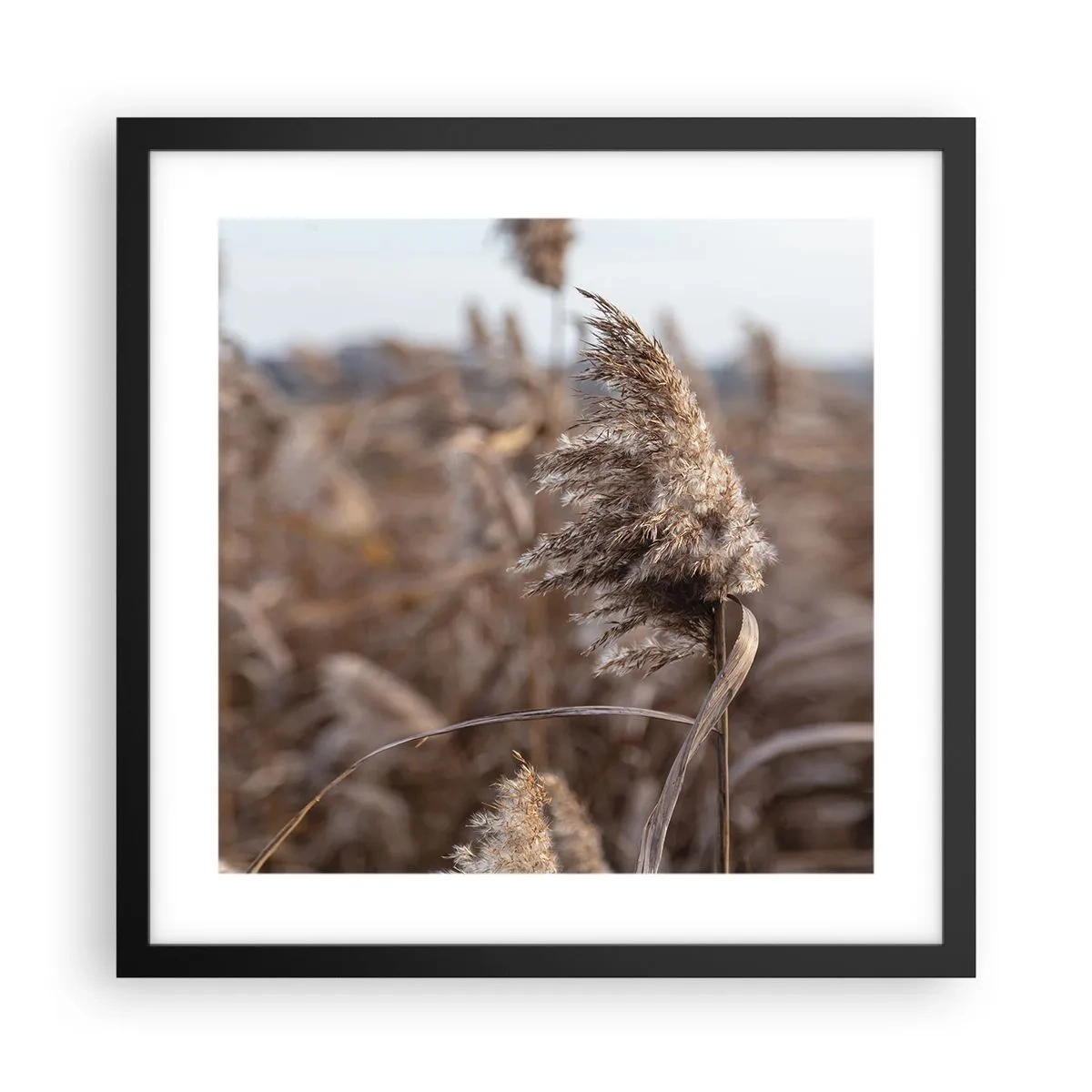 Póster en marco negro - Es hora de volar con el viento - 40x40 cm
