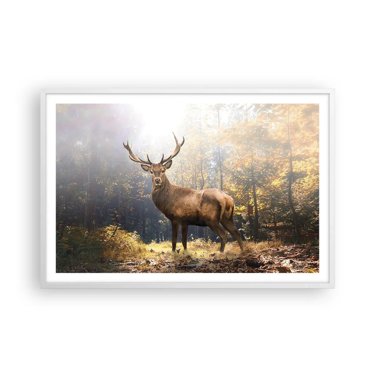 Póster en marco blanco - Con toda la majestuosidad - 91x61 cm