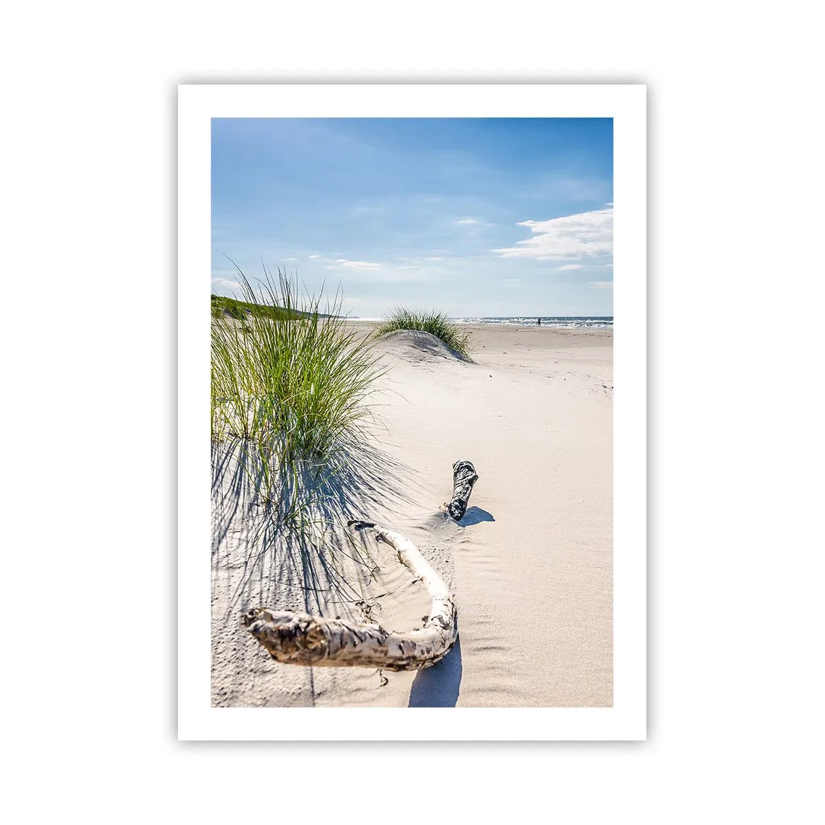 Póster - Playa con dunas, césped y ramas a la luz del sol. - 50x70cm - ¿La más bella? Báltico - Decoración de pared moderna para salón y dormitorio ARTTOR