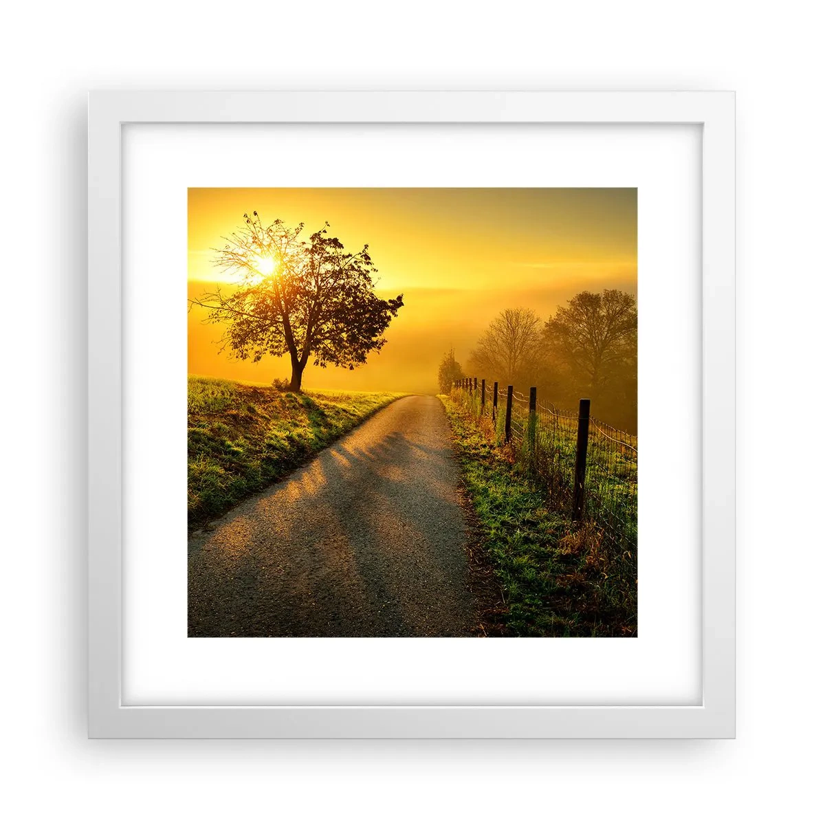 Póster en marco blanco - Tarde melosa - 30x30 cm