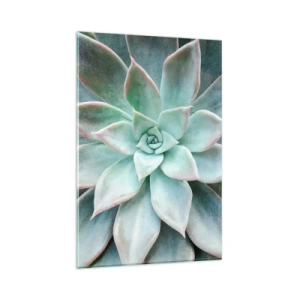Cuadro sobre vidrio - Impresiones sobre Vidrio - Primer plano de una suculenta verde - 80x120cm - El corazón del desierto - Decoración de pared moderna para salón y dormitorio ARTTOR