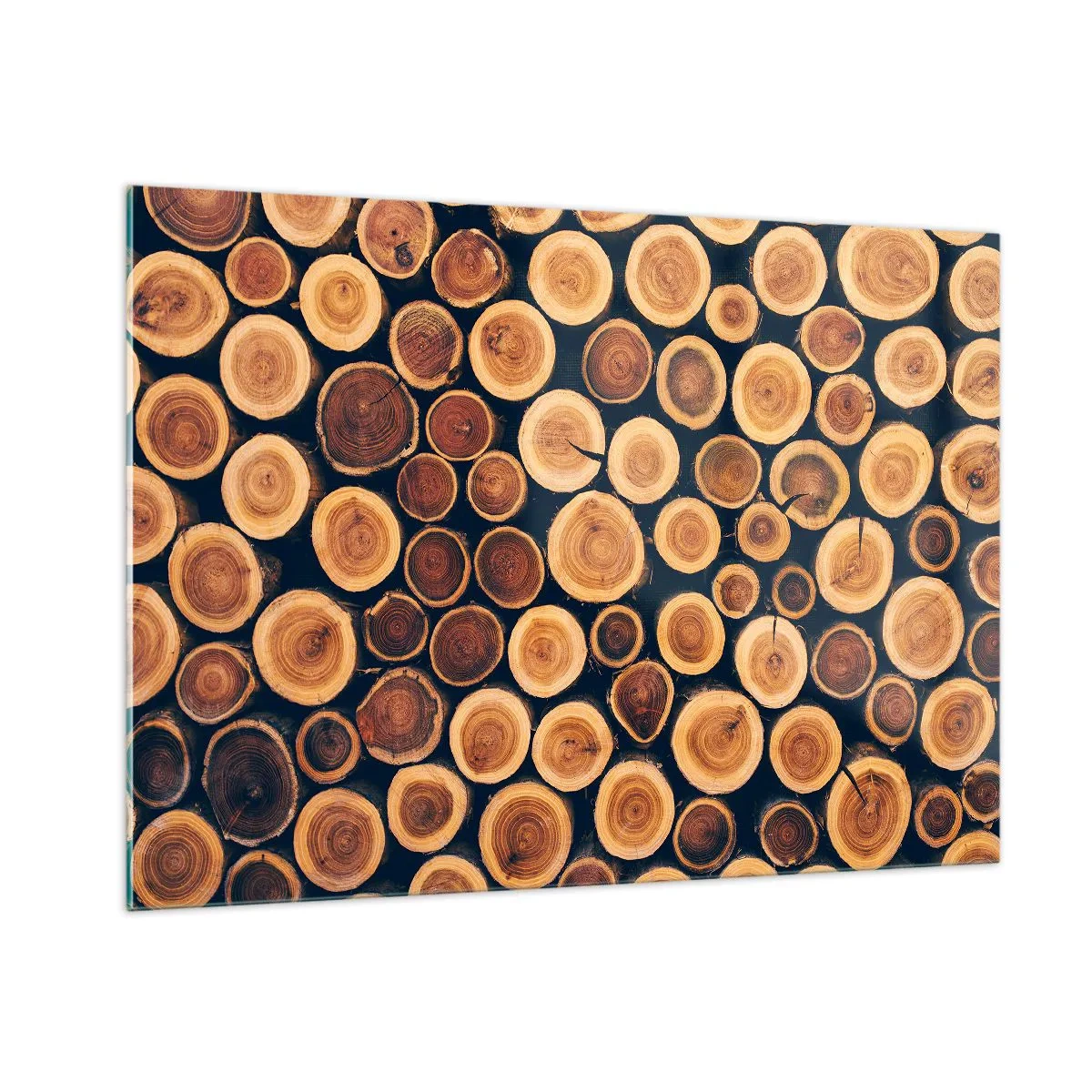 Cuadro sobre vidrio - Impresiones sobre Vidrio - Vista de troncos de árboles cortados dispuestos en fila - 100x70cm - ¿Qué edad tengo? - Decoración de pared moderna para salón y dormitorio ARTTOR