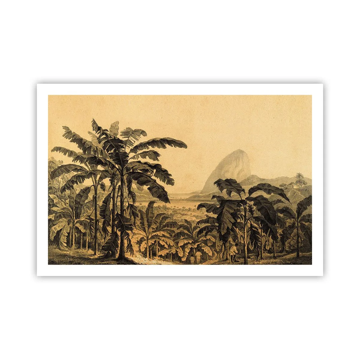 Póster - En un ambiente colonial - 91x61 cm