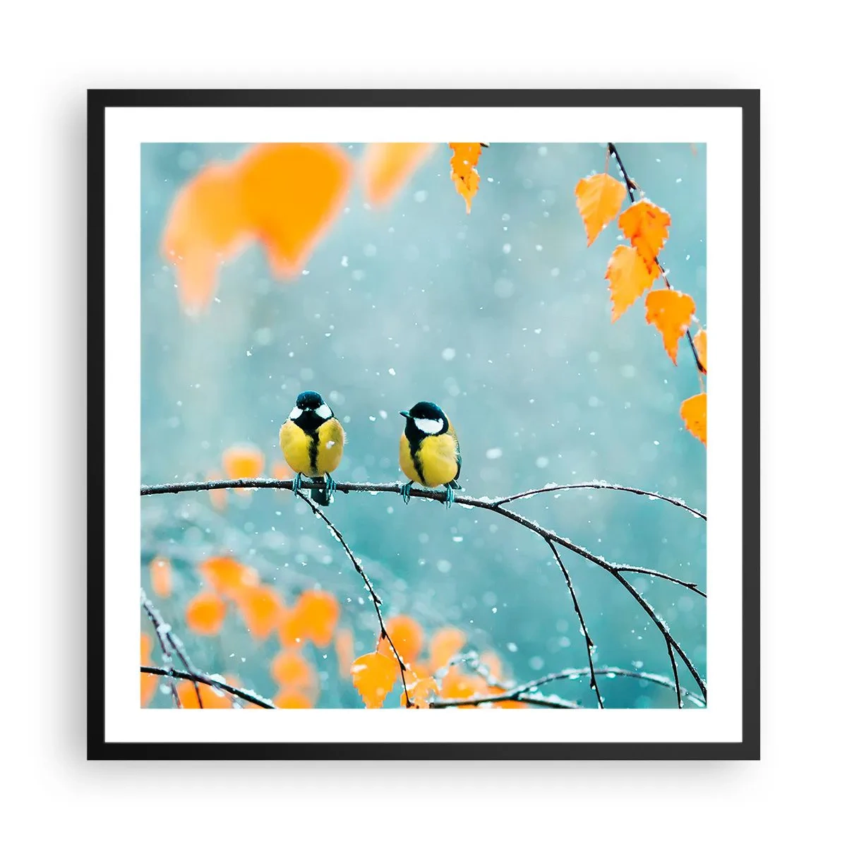 Póster en marco negro - Cotilleo de pájaros - 60x60 cm