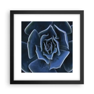 Póster en marco negro - Flor del desierto - 30x30 cm