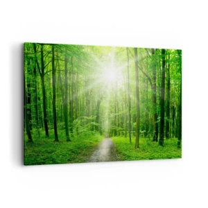 Cuadro sobre lienzo - Impresión de Imagen - Camino en el bosque con rayos de sol. - 100x70cm - Catedral verde - Decoración de pared moderna para salón y dormitorio ARTTOR