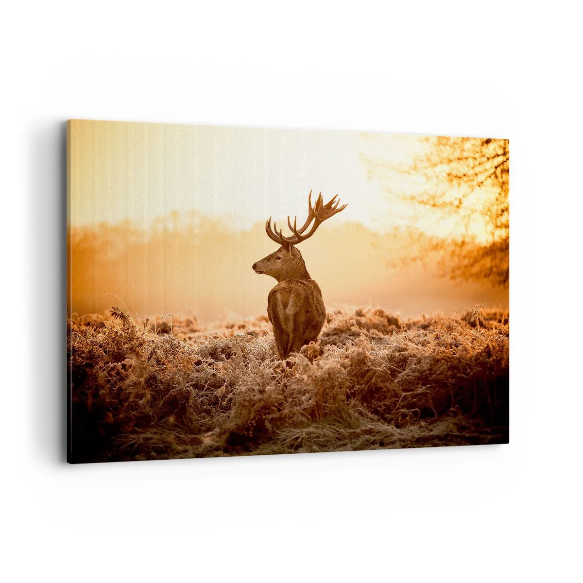 Cuadro sobre lienzo - Impresión de Imagen - Ciervos bajo los rayos del sol naciente - 100x70cm - Un líder por derecho - Decoración de pared moderna para salón y dormitorio ARTTOR